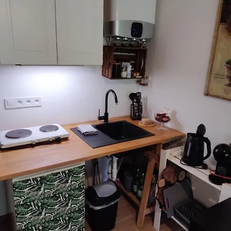 公寓 Studio In Der
